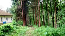  Blick auf die Wanderstrecke 